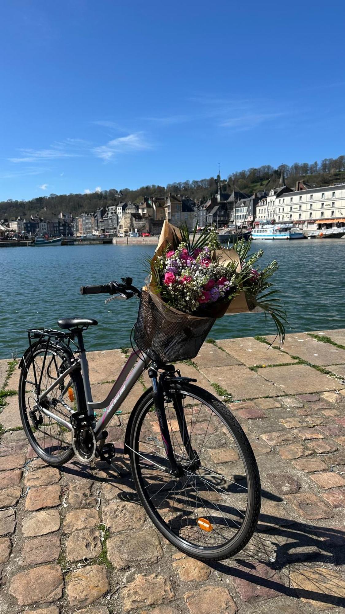 Les Calins D'Honfleur 아파트 외부 사진